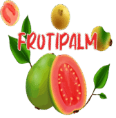 Fruti Palm